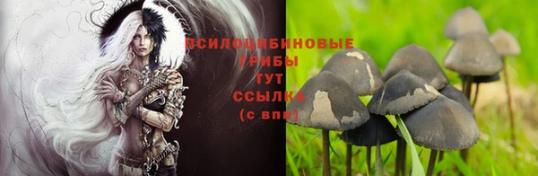 каннабис Заволжье