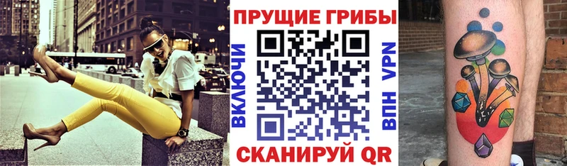 Купить  Малоярославец  Псилоцибиновые грибы MAGIC MUSHROOMS 